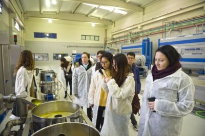 Jaén Discover the Secrets of Olive Oil: Tour & Tasting - Meeting at PICUALIA: set yourself up for an easy start