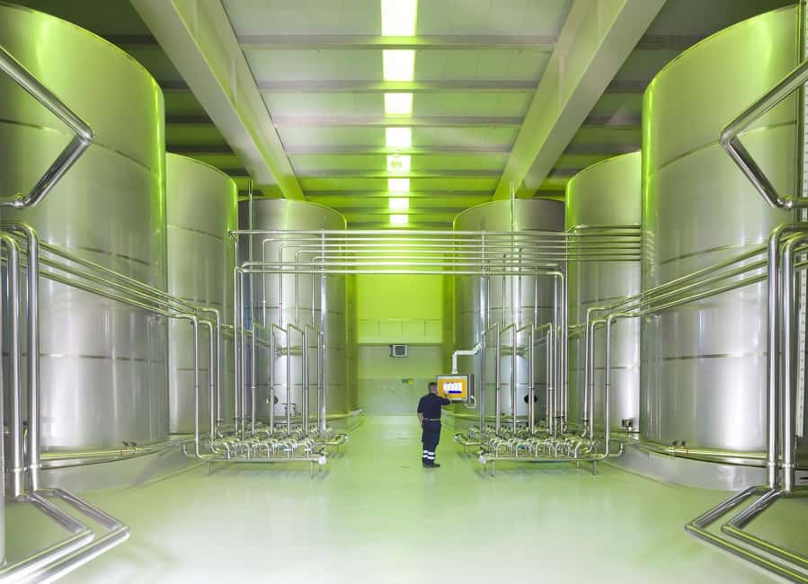 Jaén Discover the Secrets of Olive Oil: Tour & Tasting - How quality classes change what ends up on your plate