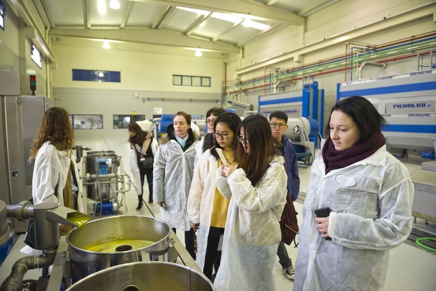 Jaén Discover the Secrets of Olive Oil: Tour & Tasting - Meeting at PICUALIA: set yourself up for an easy start