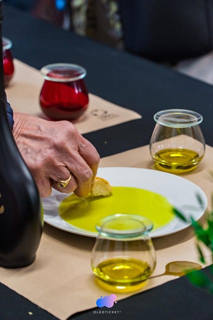 Jaén: Guided Olive Grove Tour - Logistics to Begijar: the one part you can’t ignore