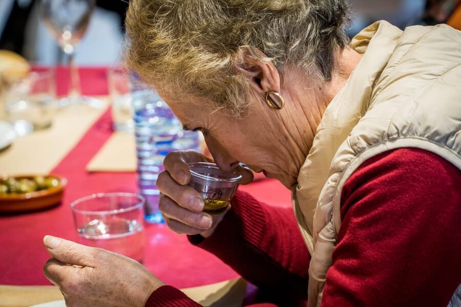 Jaén: Guided Olive Mill Tour with Olive Oil Tasting - The Cellar Stop and the Video: Turning a Process Into a Product