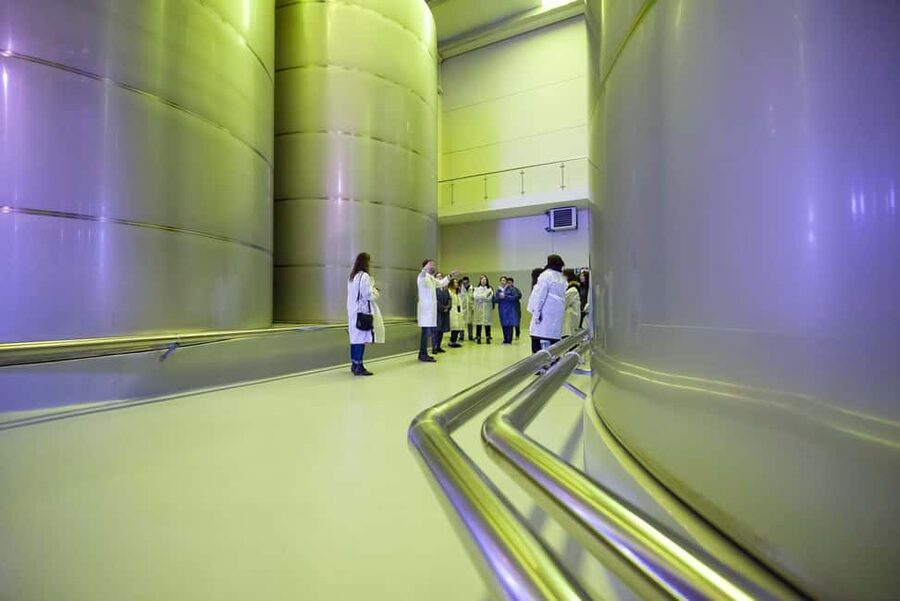 Jaén: Olive Mill Tour and Olive Oil Tasting Experience - From olives to extra virgin: what you see in the mill matters
