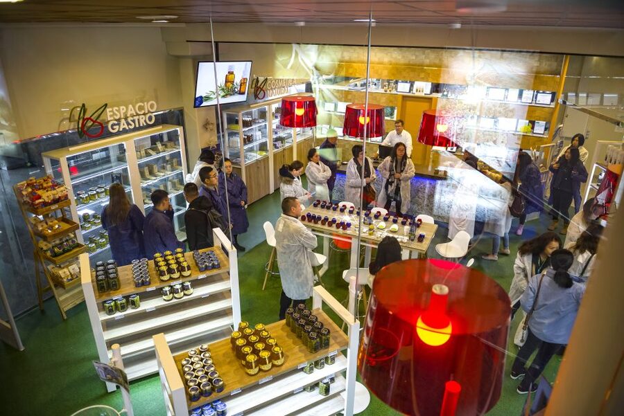 Jaén: Olive Mill Tour and Olive Oil Tasting Experience - Tasting three extra virgin olive oils: how to taste without overthinking it