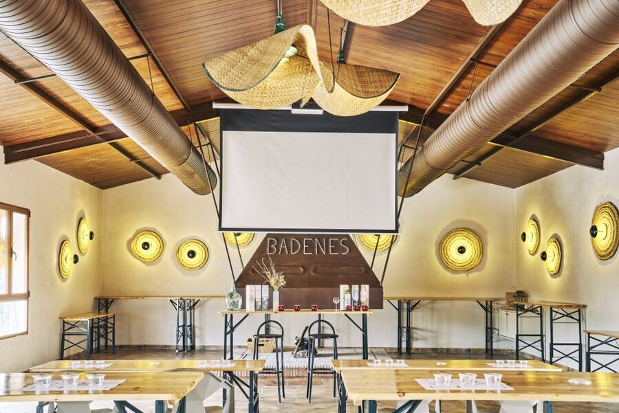 Jaen: Olive oil tour with the 5 senses, grove and tasing - Key points before you go