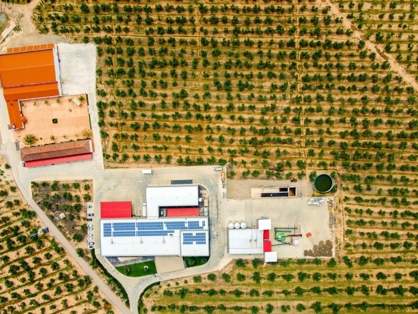 Jaen: Olive oil tour with the 5 senses, grove and tasing - Price and timing: is $23 for 2 hours good value?