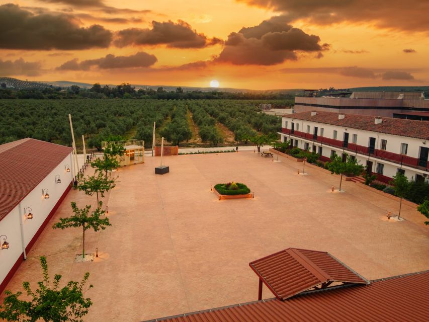 Jaen: Olive oil tour with the 5 senses, grove and tasing - Who should book this olive oil tour in Jaén