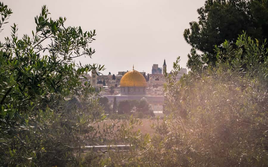 Jerusalem: Mount of Olives Guided Tour - Views Over Jerusalem That Change How You Walk