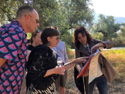 Kalamata, Greece: Organic Olive Grove Tour-Olive oil tasting - The olive oil tasting in Kalamata’s historic center (Koroneiki is the star)