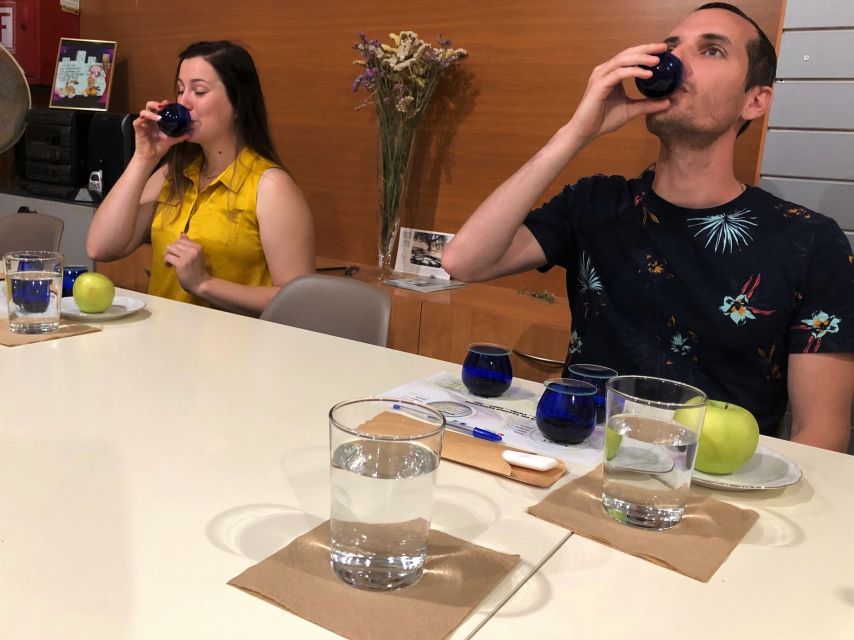 Kalamata, Greece: Organic Olive Grove Tour-Olive oil tasting - Optional local lunch in the historic center
