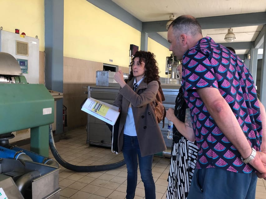 Kalamata, Greece: Organic Olive Grove Tour-Olive oil tasting - Price and value: is $147 per person worth it in Kalamata?
