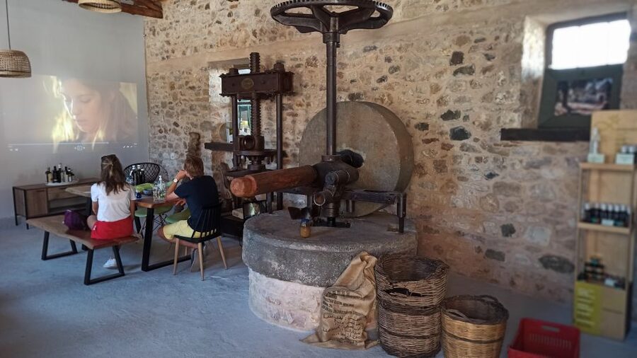 Kalamata: The Olive Oil Routes Tour - Practical tips for a smooth 3.5 hours