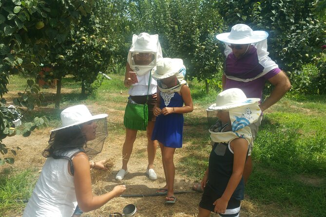 Katakolon Small Group Tour: Olympic site, Honey/Olive Oil Tasting - Who this fits best (and who might prefer something else)