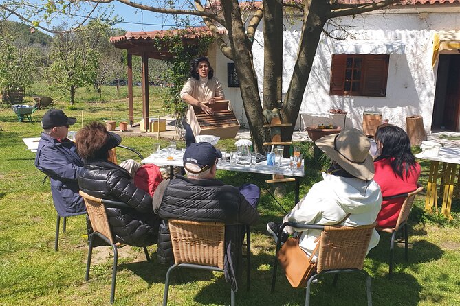 Katakolon Small Group Tour: Olympic site, Honey/Olive Oil Tasting - Practical tips so the day goes smoothly