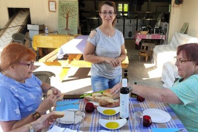 Kefalonia:Private Olive Oil, Honey & Wine Tasting Experience - Pickup, Timing, and How the Day Feels in Real Life