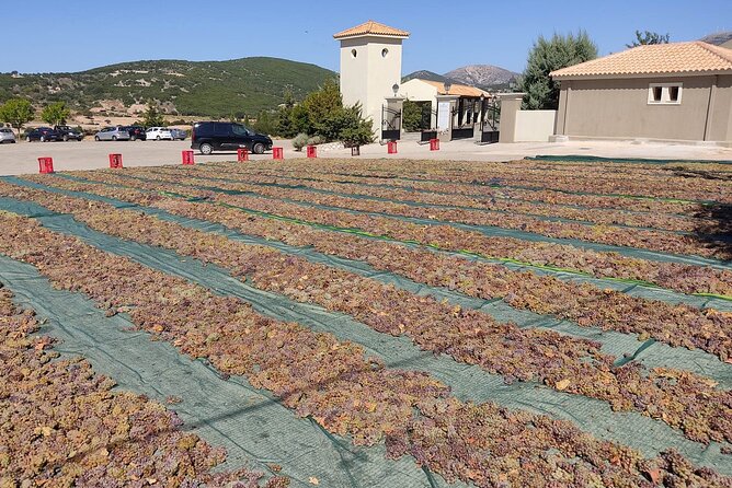 Kefalonia: Private Olive Oil, Honey & Wine Tasting Experience - Pickup in Argostoli and Cruise-Friendly Timing