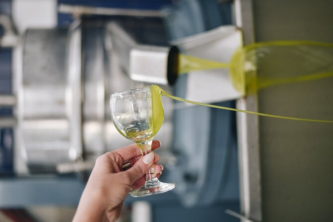 Kleanthi Olive Farm: Guided Tour with Local Delicacies Tasting - Into the olive mill: how the craft turns fruit into oil