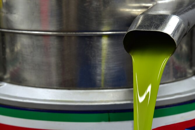 Kleanthi Olive Farm: Guided Tour with Local Delicacies Tasting - The tasting table: olive oil paired with Cretan comfort food