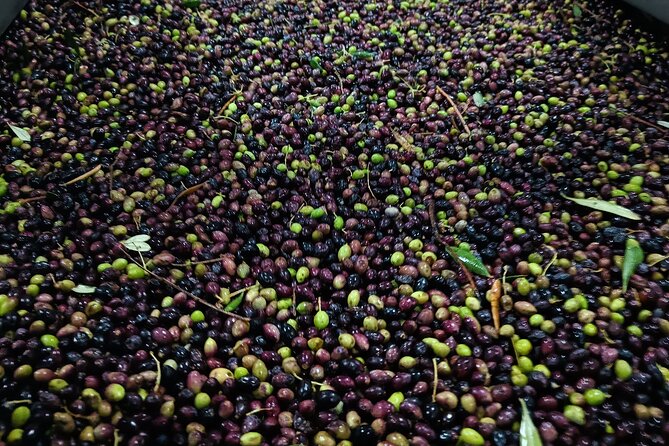 Kleanthi Olive Farm: Guided Tour with Local Delicacies Tasting - The onsite shop: bringing Crete home without the hard sell
