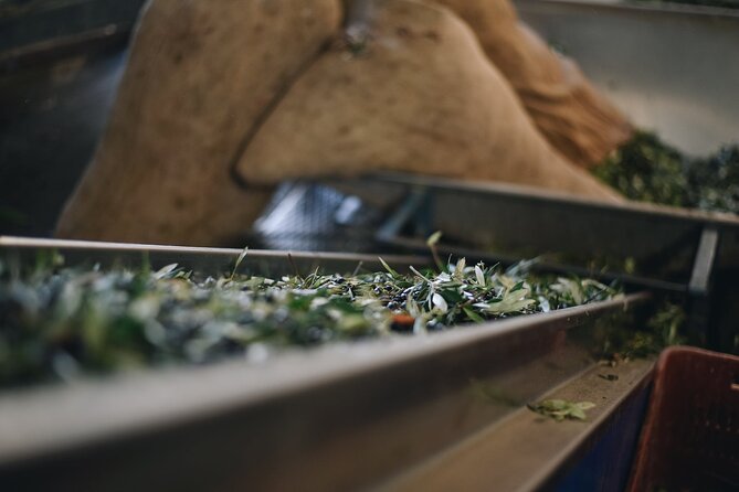Kleanthi Olive Farm: Guided Tour with Local Delicacies Tasting - Who this tour suits best (and who might want to rethink it)