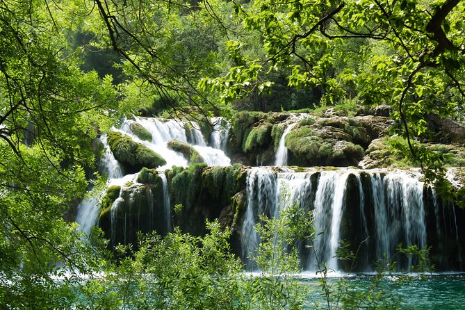 Krka Waterfalls Tour with Wine and Olive Oil Tasting - Entering Krka National Park: Bridges, Falls, and the Best Use of Your 4 Hours