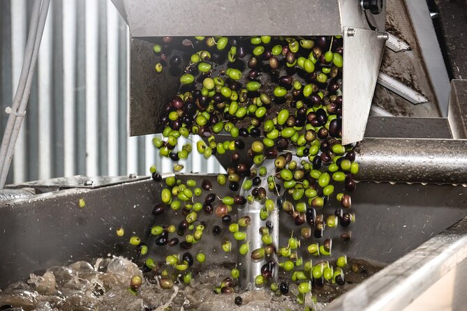 Lake Garda Olive Oil Tour and Tasting Experience - The Outdoor Tasting Garden and Your Four-Oil Comparison