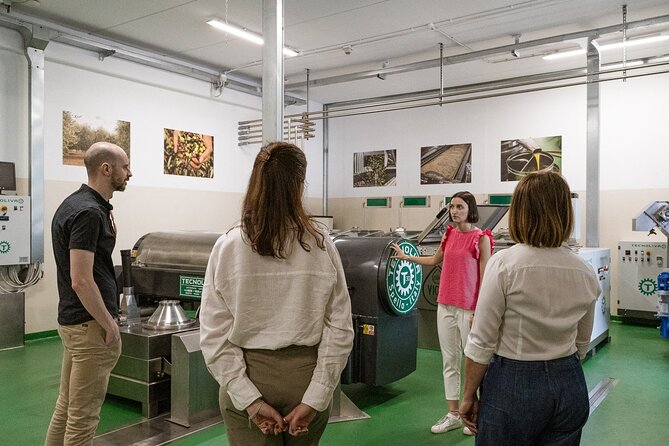 Lake Garda Olive Oil Tour and Tasting Experience - Who This Works Best For (and Who Might Not)