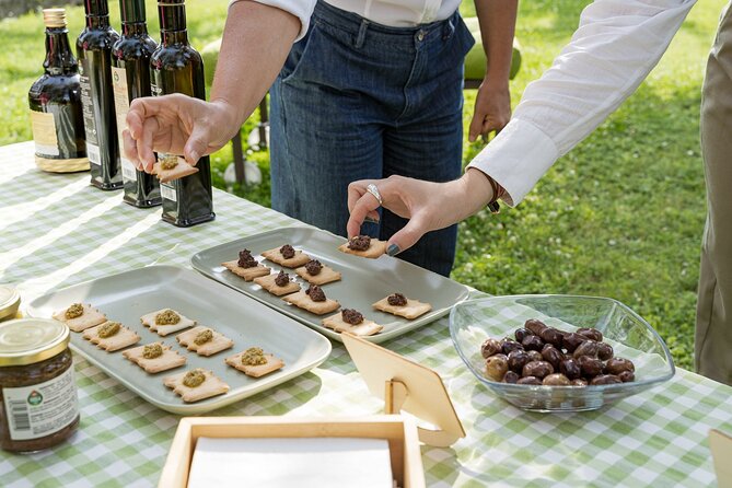 Lake Garda Olive Oil Tour and Tasting Experience - Stop 1: Bardolino Basics and the Riviera degli Olivi Story
