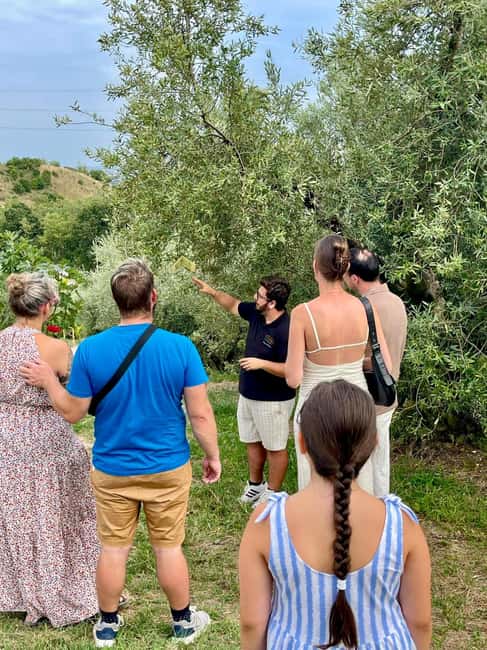 Lake Garda: Tour with 4 Olive Oil Tasting & Local Food - Getting to Via Bragati 7 and parking right on site
