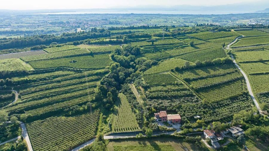Lake Garda: Tour with 4 Olive Oil Tasting & Local Food - Pâtés, bread, olives, and infused specialties: turning oil into a meal
