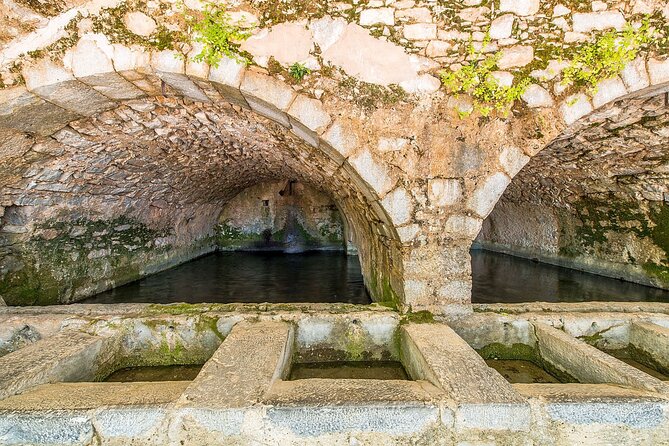 Lasithi - Zeus Cave -Olive Oil Factory - Traditional Villages - Vassilakis Estate olive tour: the hands-on part that’s actually useful