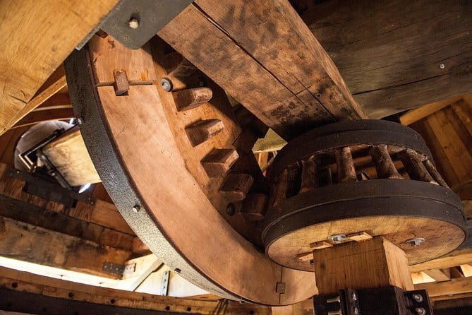 Leonardo Da Vinci's wind mill visit and Organic olive oil tasting - Tuscany Olive Groves and Leonardo’s Windmill: the 2-hour rhythm