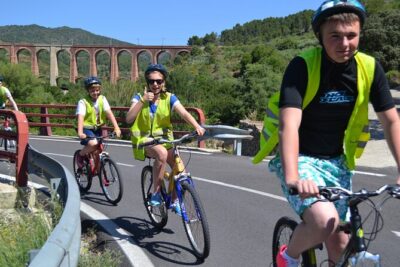 LOCAL FLAVORS! Half-Day Bike Tour with Olive Oil Tasting - The Cycling Setup: A 13km Downhill That Feels Smooth (Not Scary)