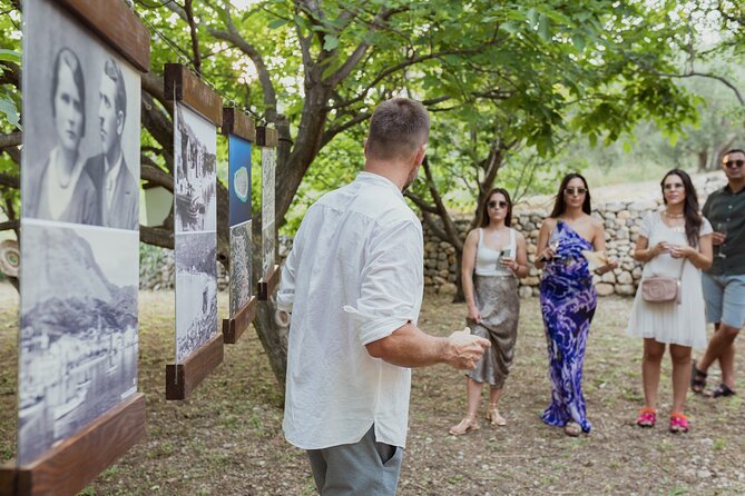Makarska Tuk Tuk Tour Olive Grove, Scenic Views and Tastings - Stop 2: Molendino olive grove—quiet shade and a real tasting moment
