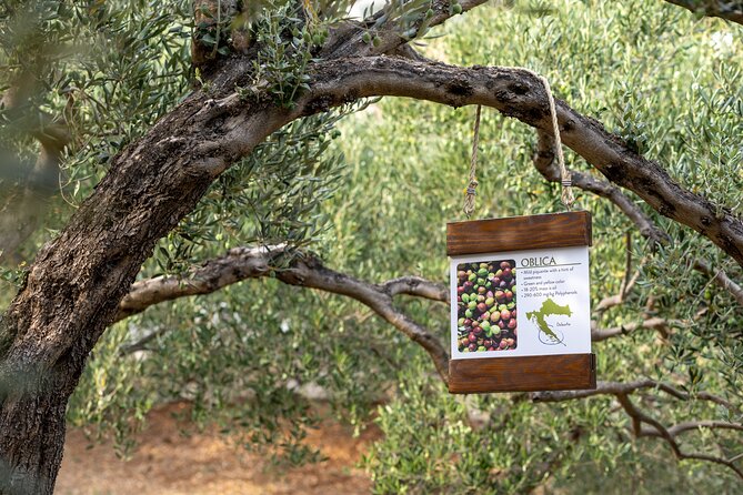 Makarska Tuk Tuk Tour Olive Grove, Scenic Views and Tastings - What you’re really paying for: value breakdown