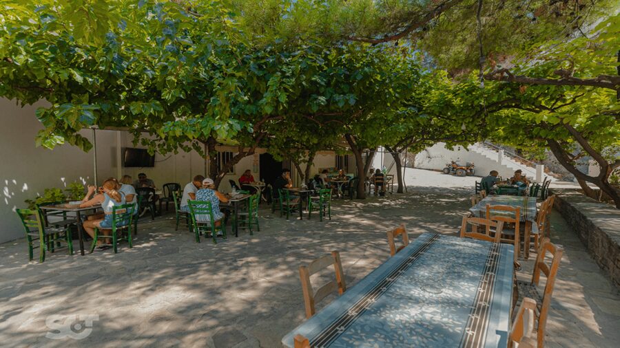 Makrigialos-Ierapetra: Hidden Villages & Olive Oil Farm Tour - Neapoli Cultural Museum: Tools and Artifacts That Make Crete Feel Understandable