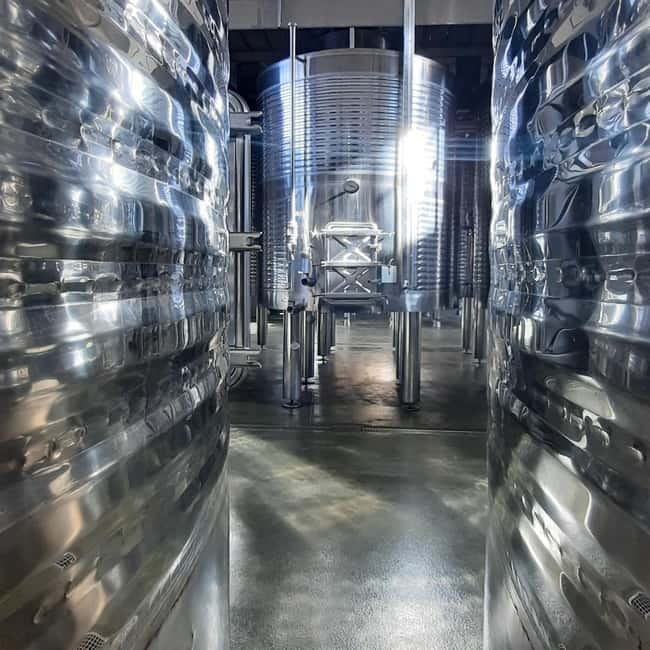 Mallorca: Bodega & Olives Minibustour with wine/oil tasting - Wine Tasting With Tapas: Where the Learning Gets Real