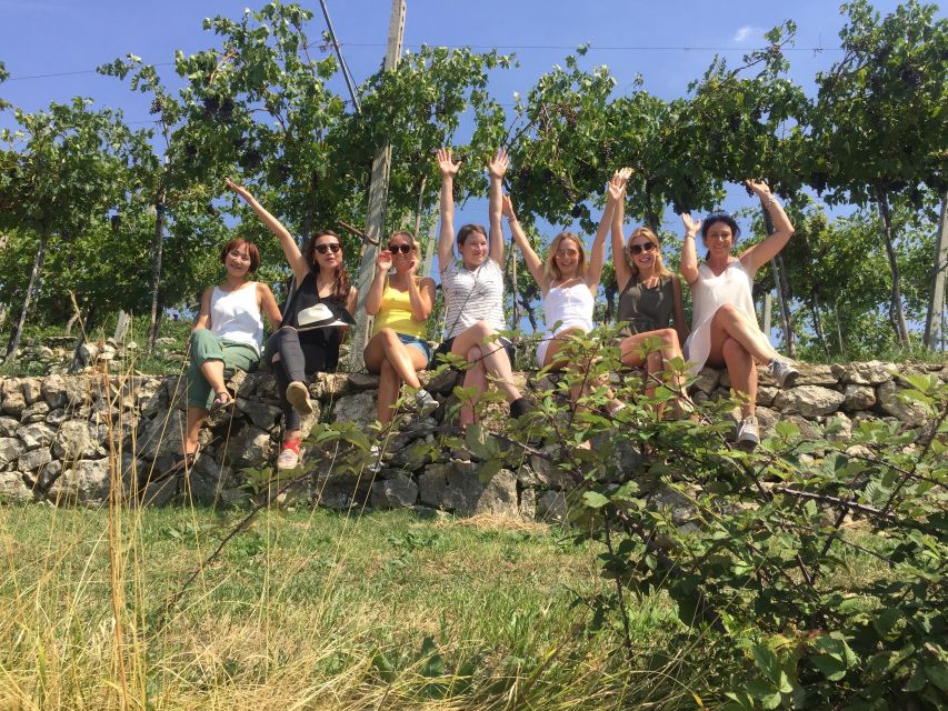 Marano di Valpolicella: DOP Olive Oil Tasting Experience - Key highlights at a glance