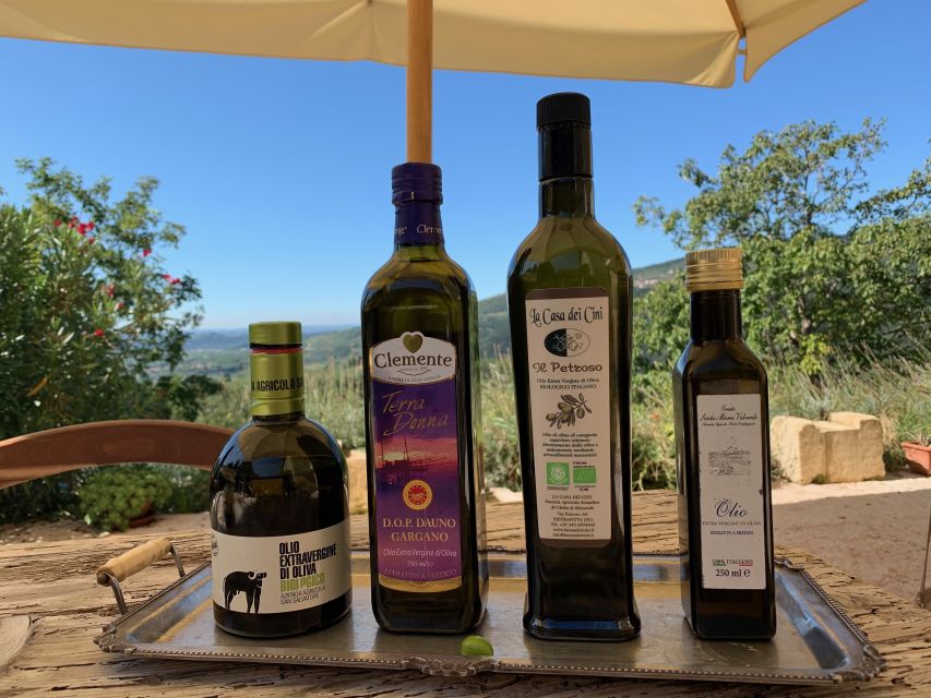Marano di Valpolicella: DOP Olive Oil Tasting Experience - Olive tree garden stroll: where the story starts