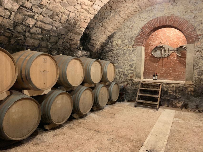 Marano di Valpolicella: DOP Olive Oil Tasting Experience - Price and value: what $71 buys in 2 hours