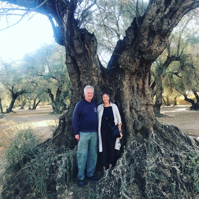 Midday Olive Oil Tour and Visit to Old Town of Belchite - Lunch at a Traditional Spanish Restaurant (Budget for It)