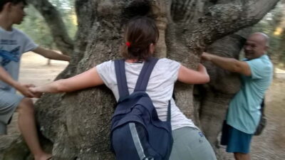 Miggiano: Olive Oil Mill Walking Tour with Tastings - The 2-Hour Walk and Visit: What Your Time Actually Gets You