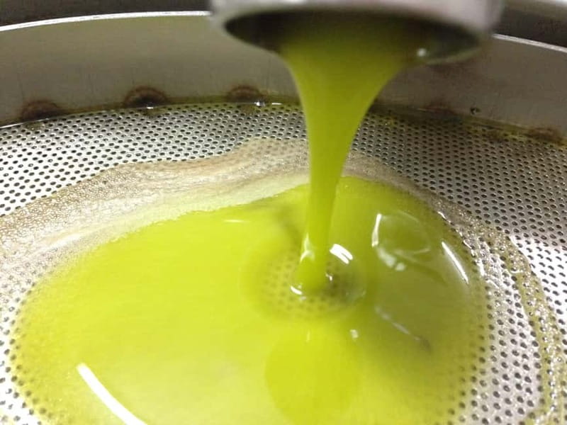 Miggiano: Olive Oil Mill Walking Tour with Tastings - Olive Oil Tasting That Teaches You How to Rank Quality