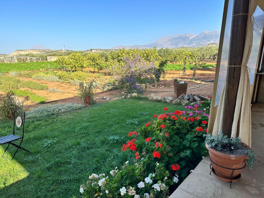 Moires: Cooking Class and Olive Oil Tasting at a Family Farm - Take-home value: leftovers, recipes by email, and real leftovers