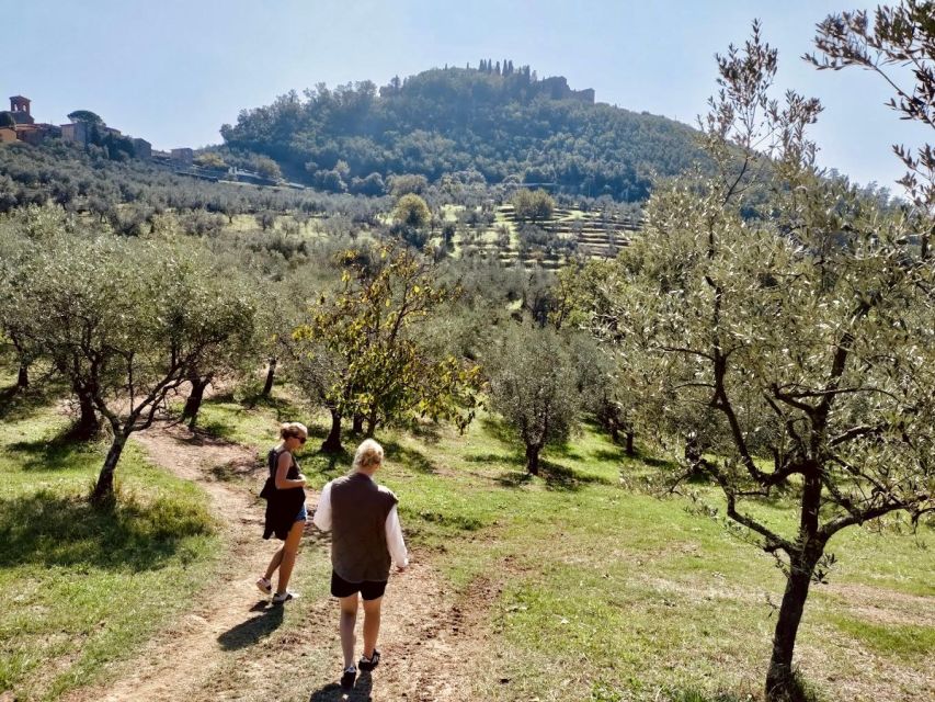 Montecatini Terme: Olive Grove Tour with Oil Tasting - Key highlights at Podere Cavozzoli