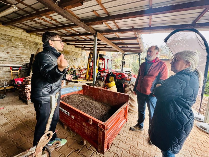 Montecatini Terme: Olive Grove Tour with Oil Tasting - FAQ
