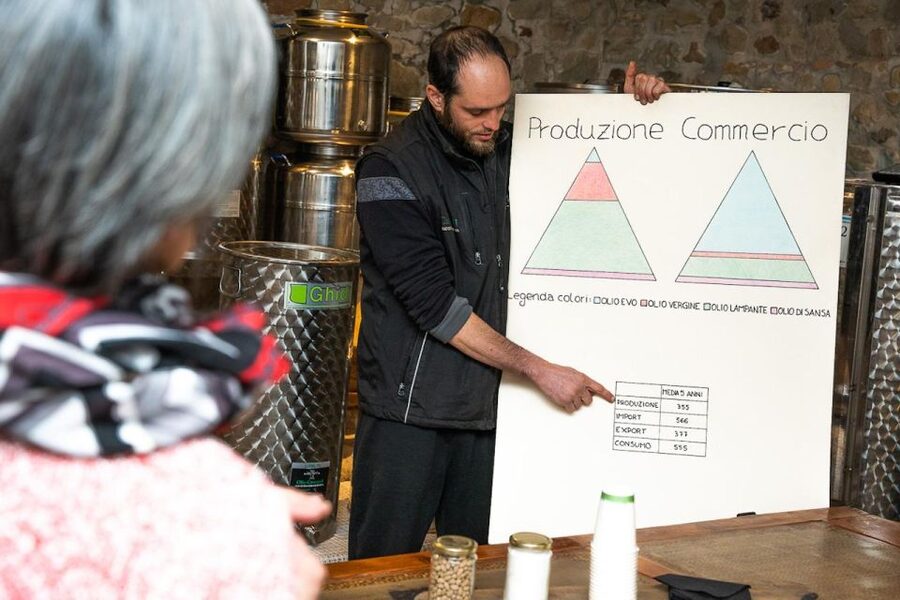 Montecatini Terme: Olive Grove Tour with Oil Tasting - Fields, Equipment, and Cellar: What the Two-Hour Walk Actually Covers