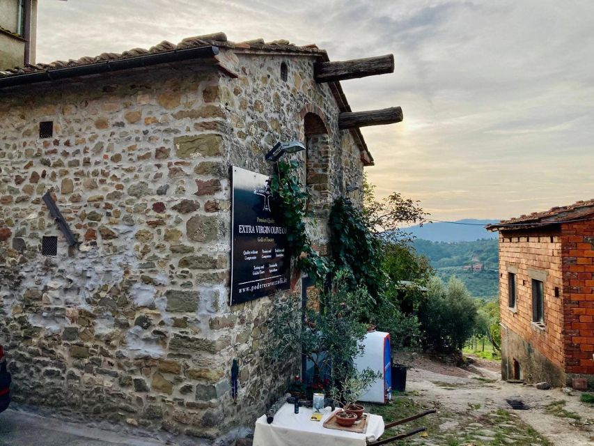 Montecatini Terme: Olive Grove Tour with Oil Tasting - Views Above Montecatini Terme: Why the Setting Matters