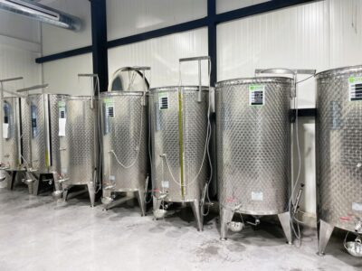 Montpellier : Visit lavender field and an Olive Oil Mill - June to July lavender fields in Hérault: when to go and what to notice