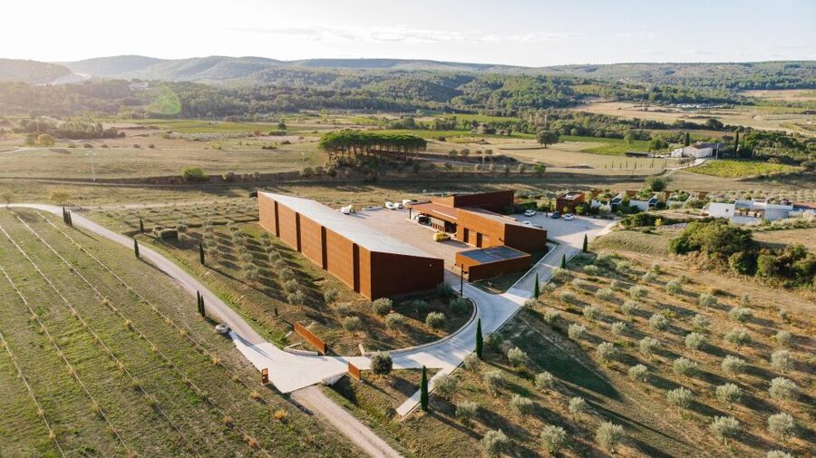 Montpellier : Visit lavender field and an Olive Oil Mill - Who should book this tour—and who should skip it