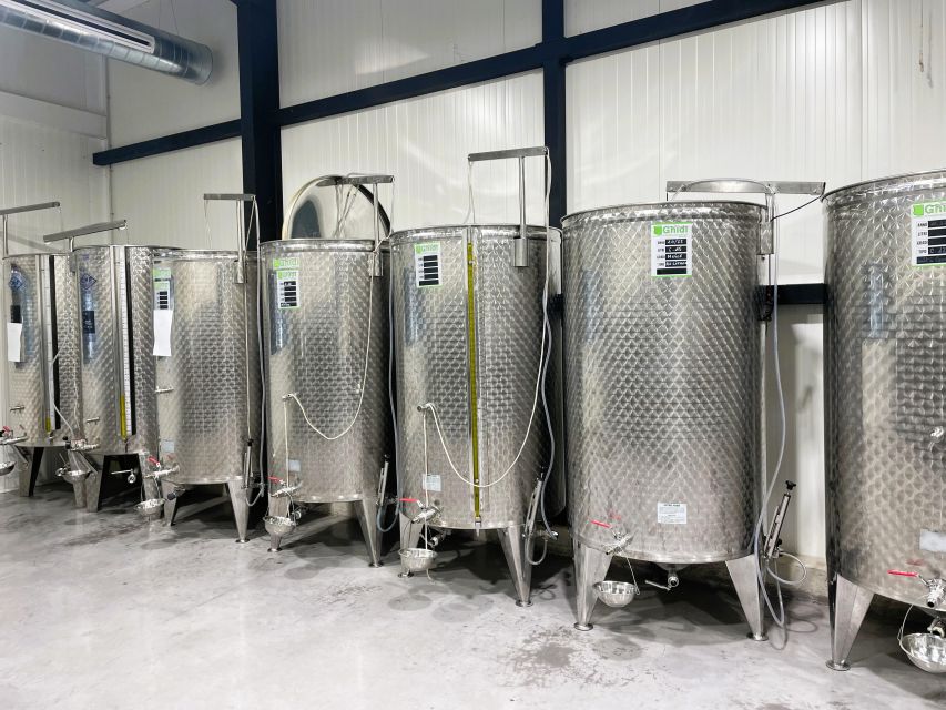 Montpellier : Visit lavender field and an Olive Oil Mill - June to July lavender fields in Hérault: when to go and what to notice